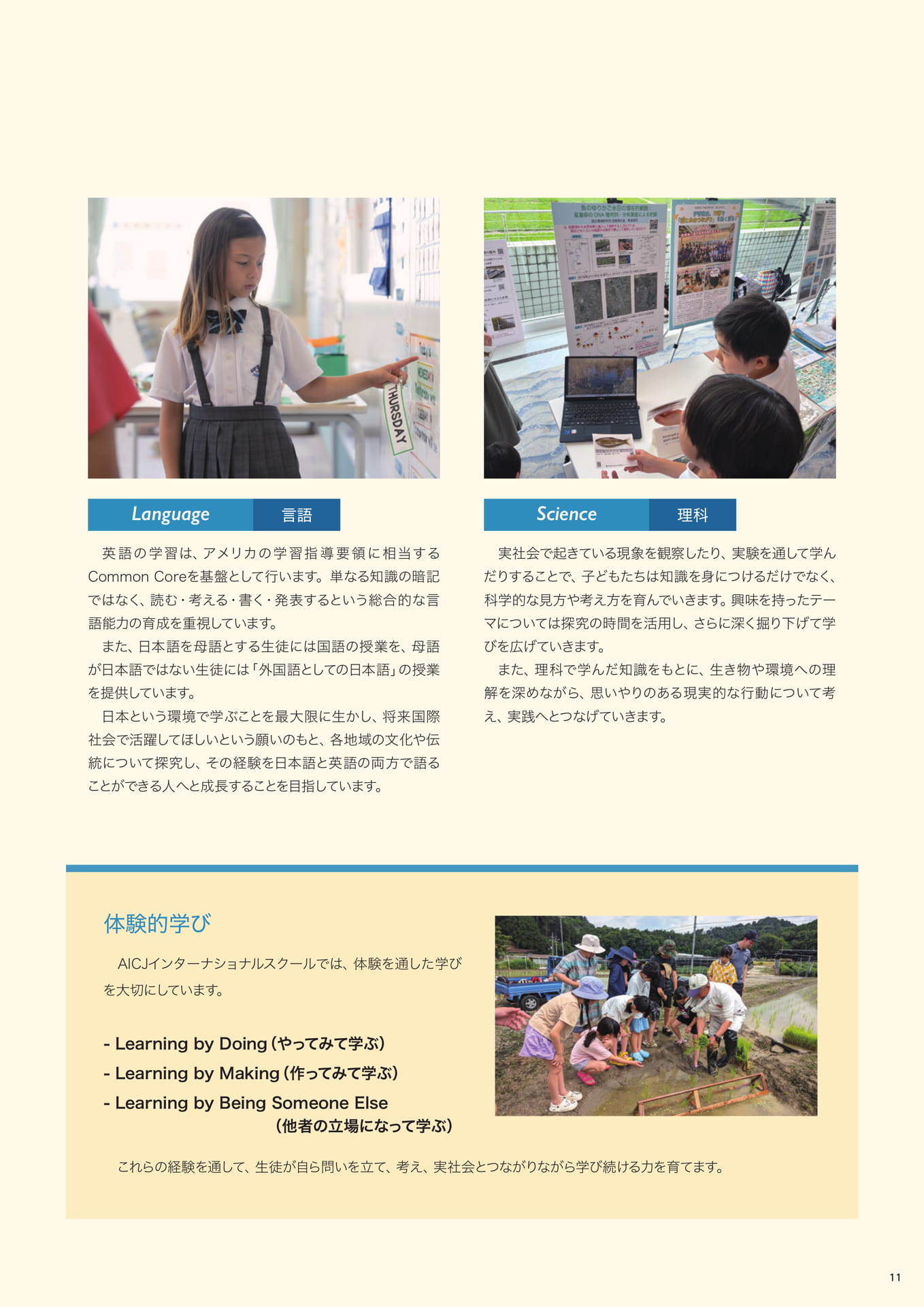 Page 11
