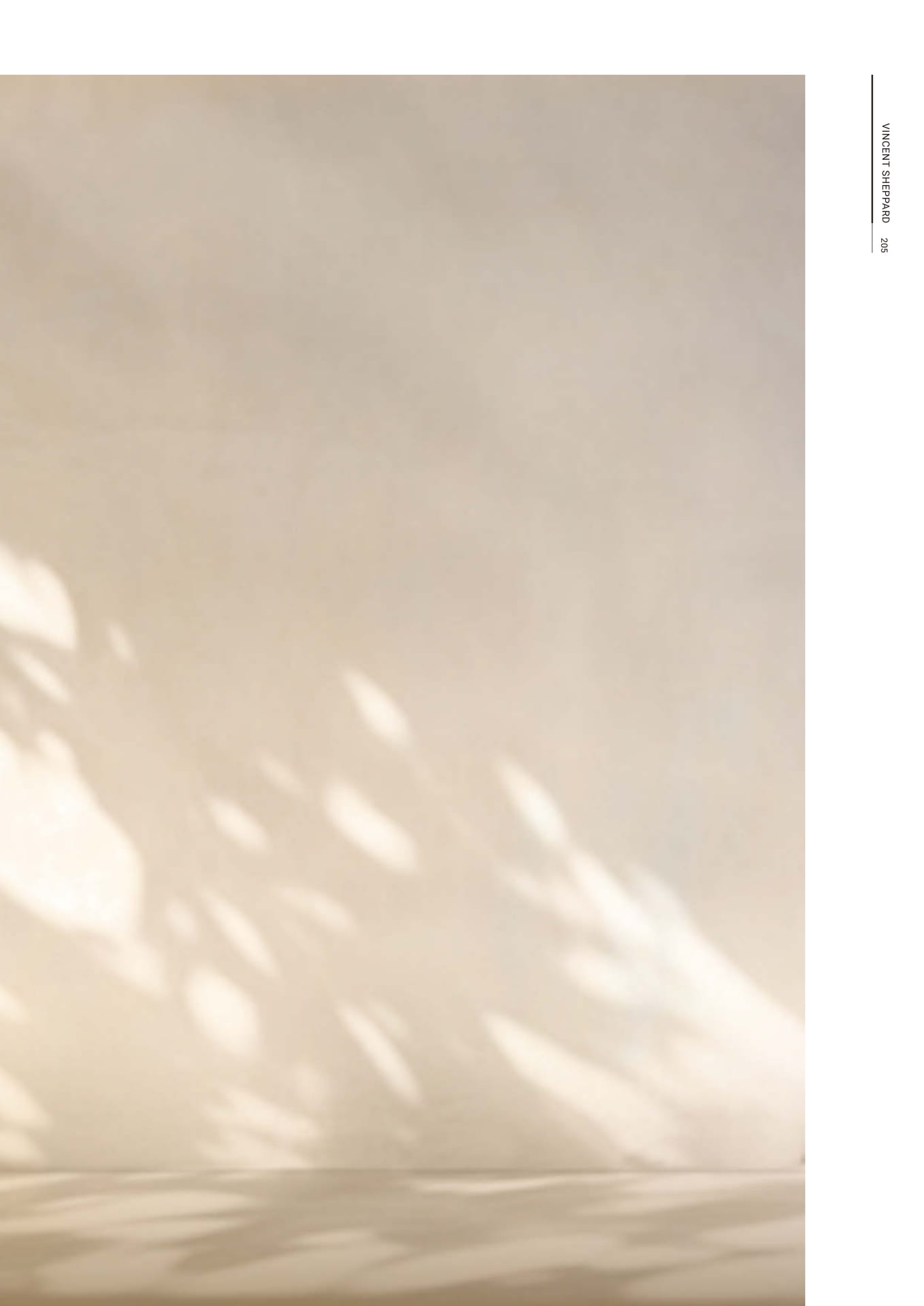 Page 207