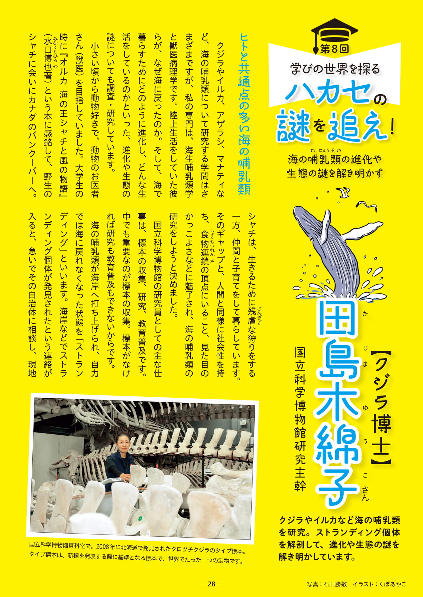 Page 28
