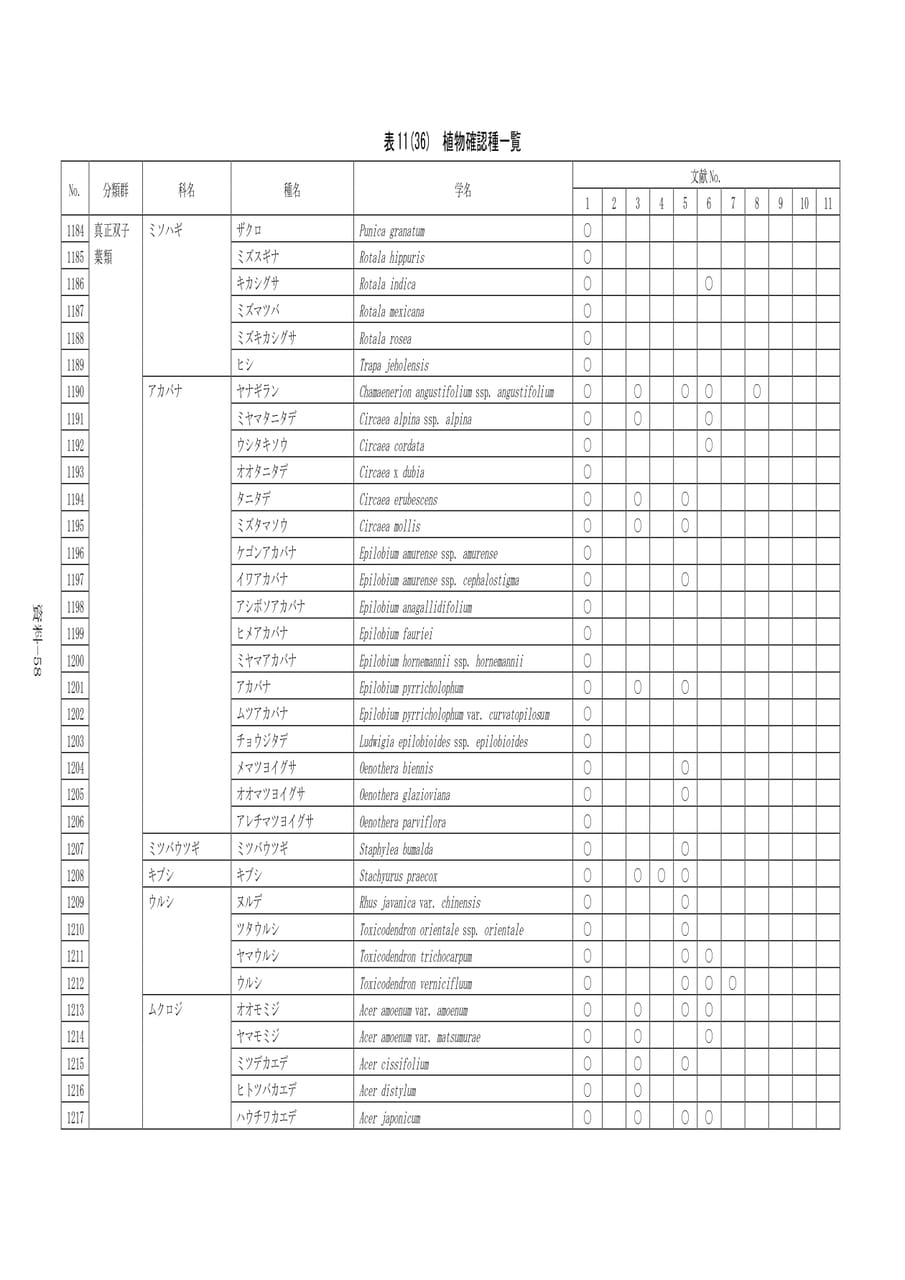 Page 365