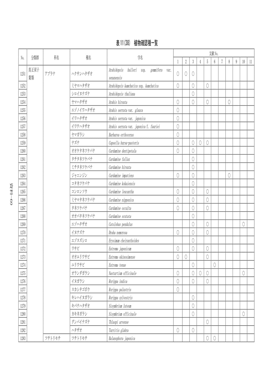 Page 367