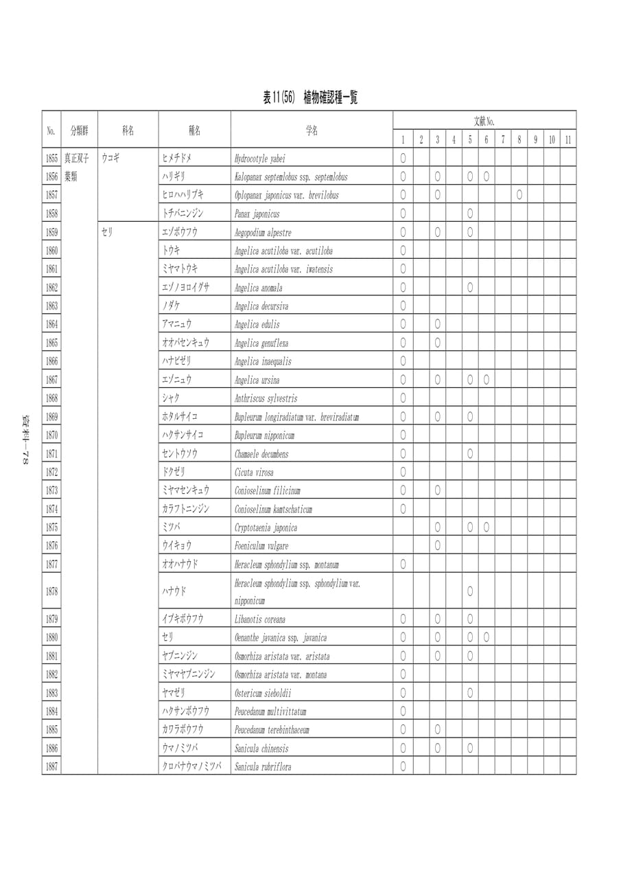 Page 385