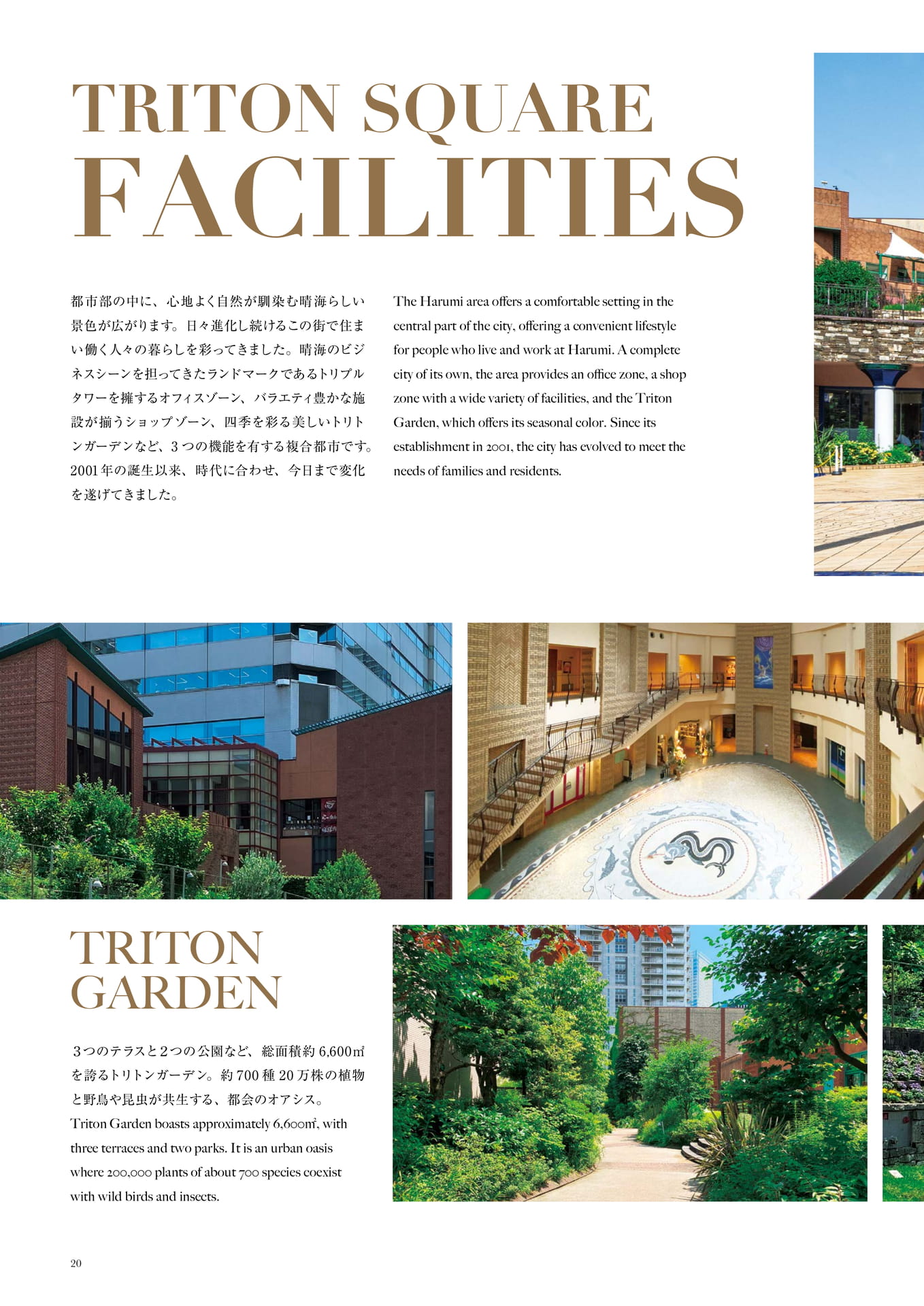 Page (追加)22