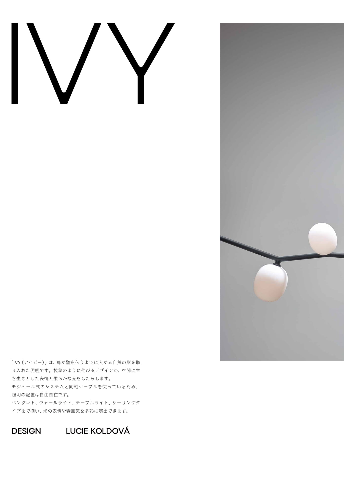 IVY-1