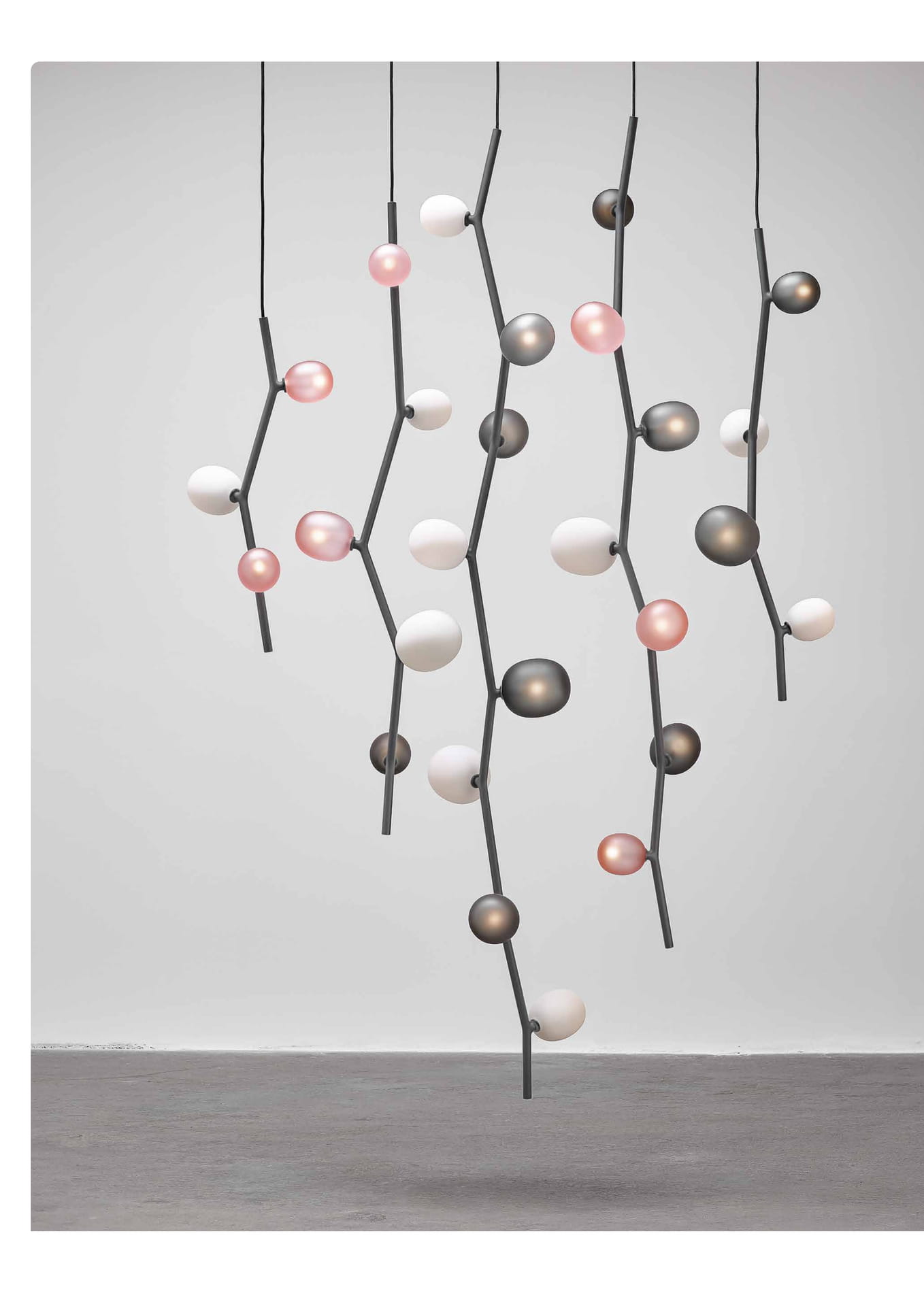 IVY-3