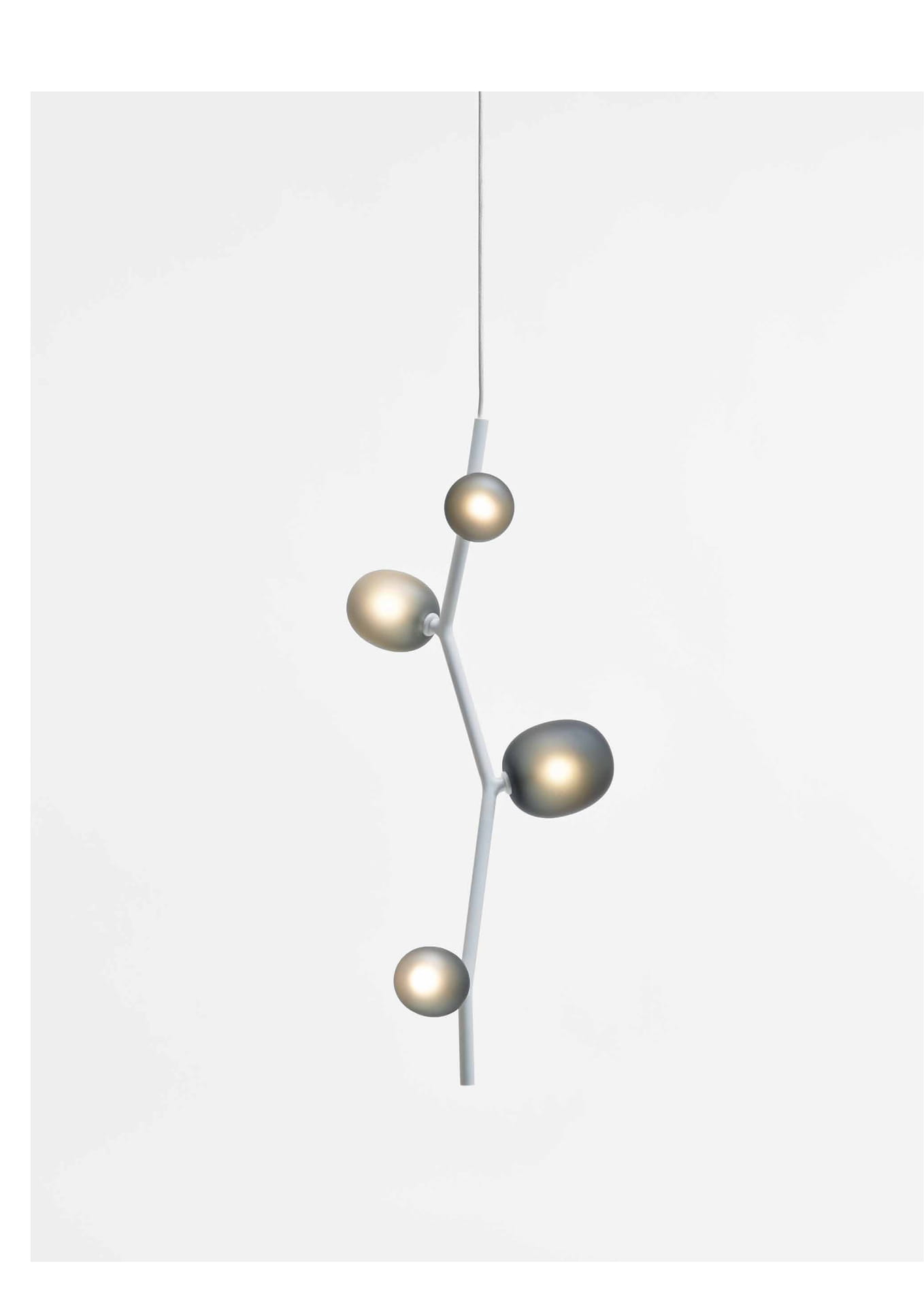 IVY-5