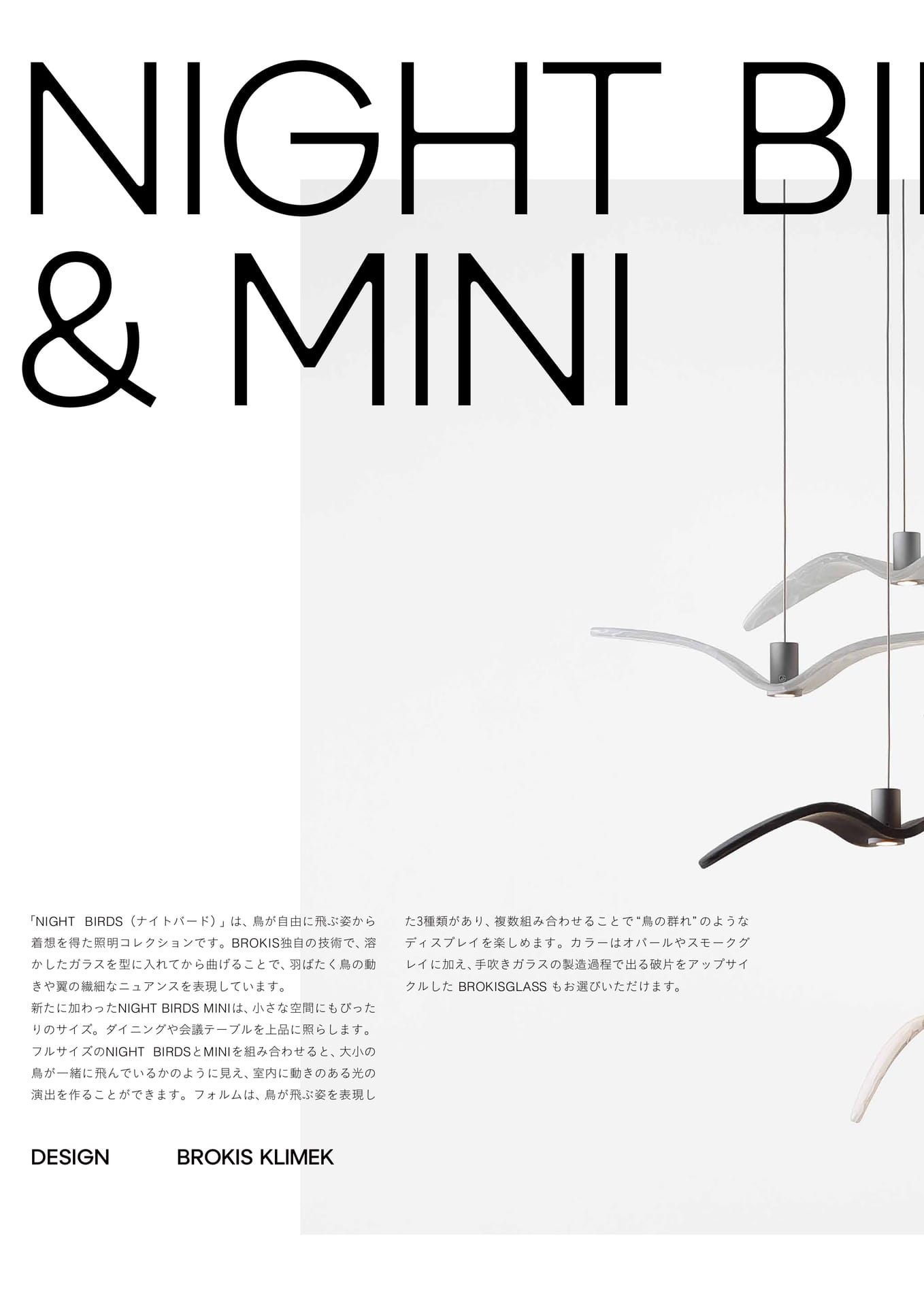 NIGHT BIRD&MINI-1