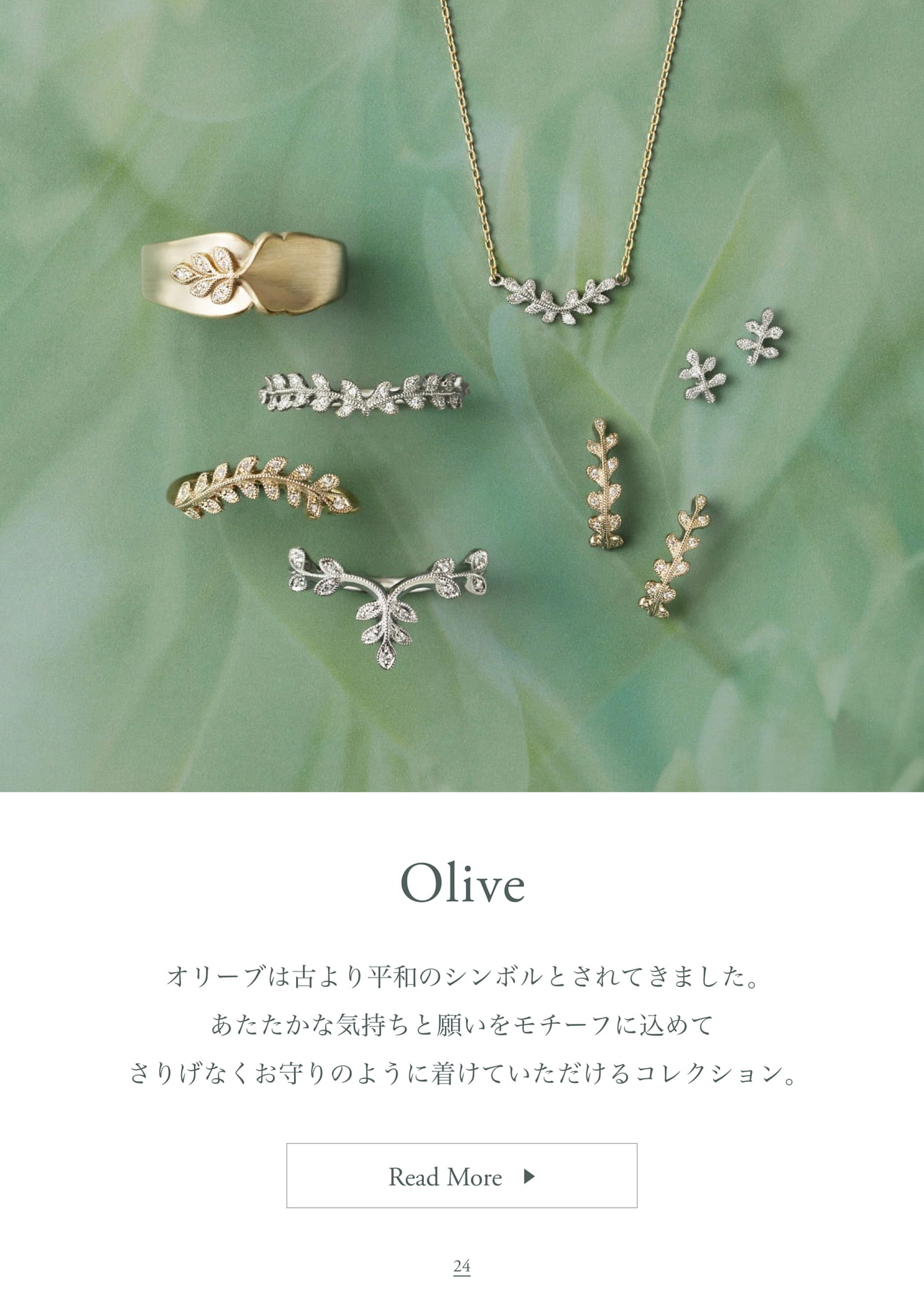Products / Olive