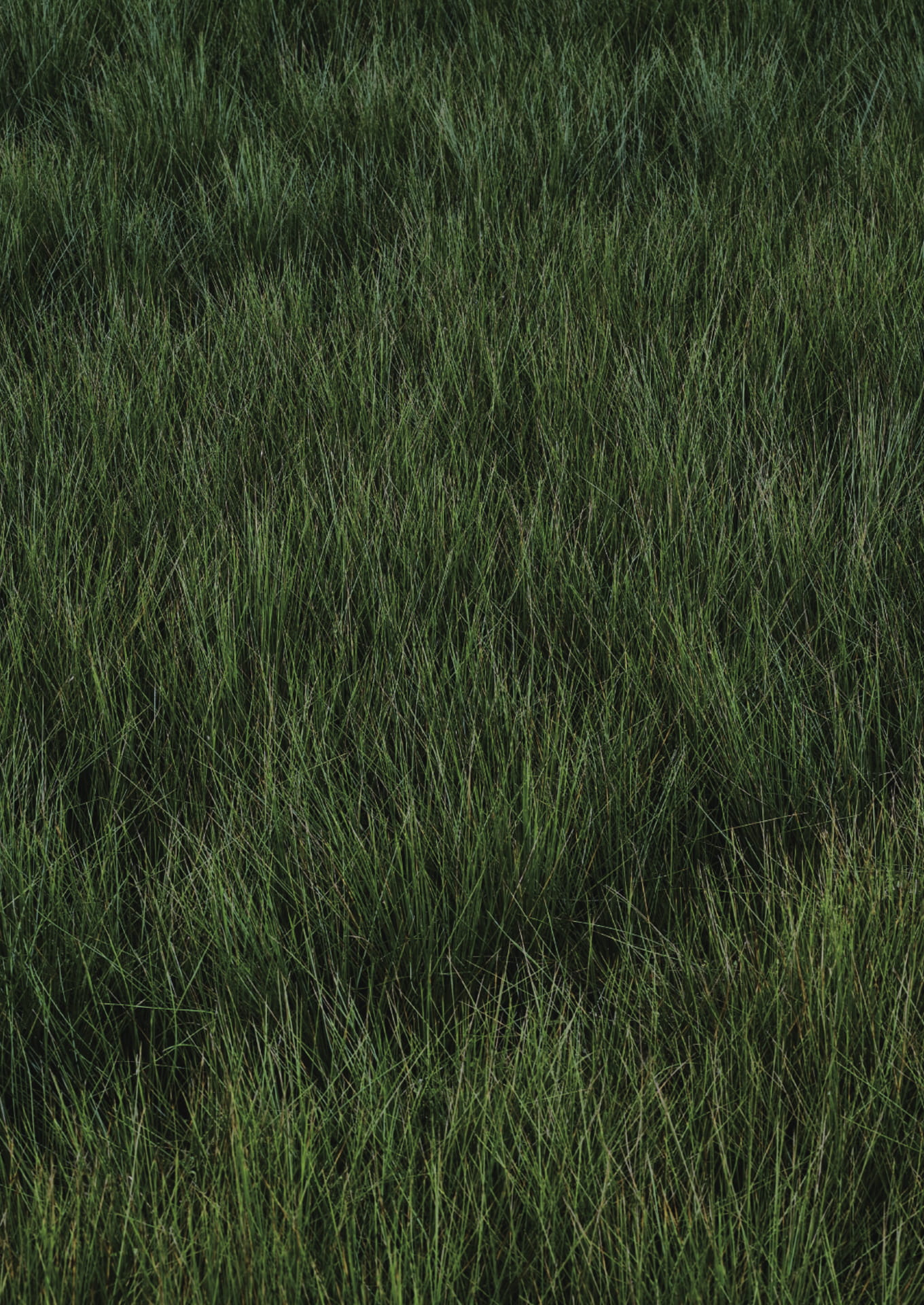 Material