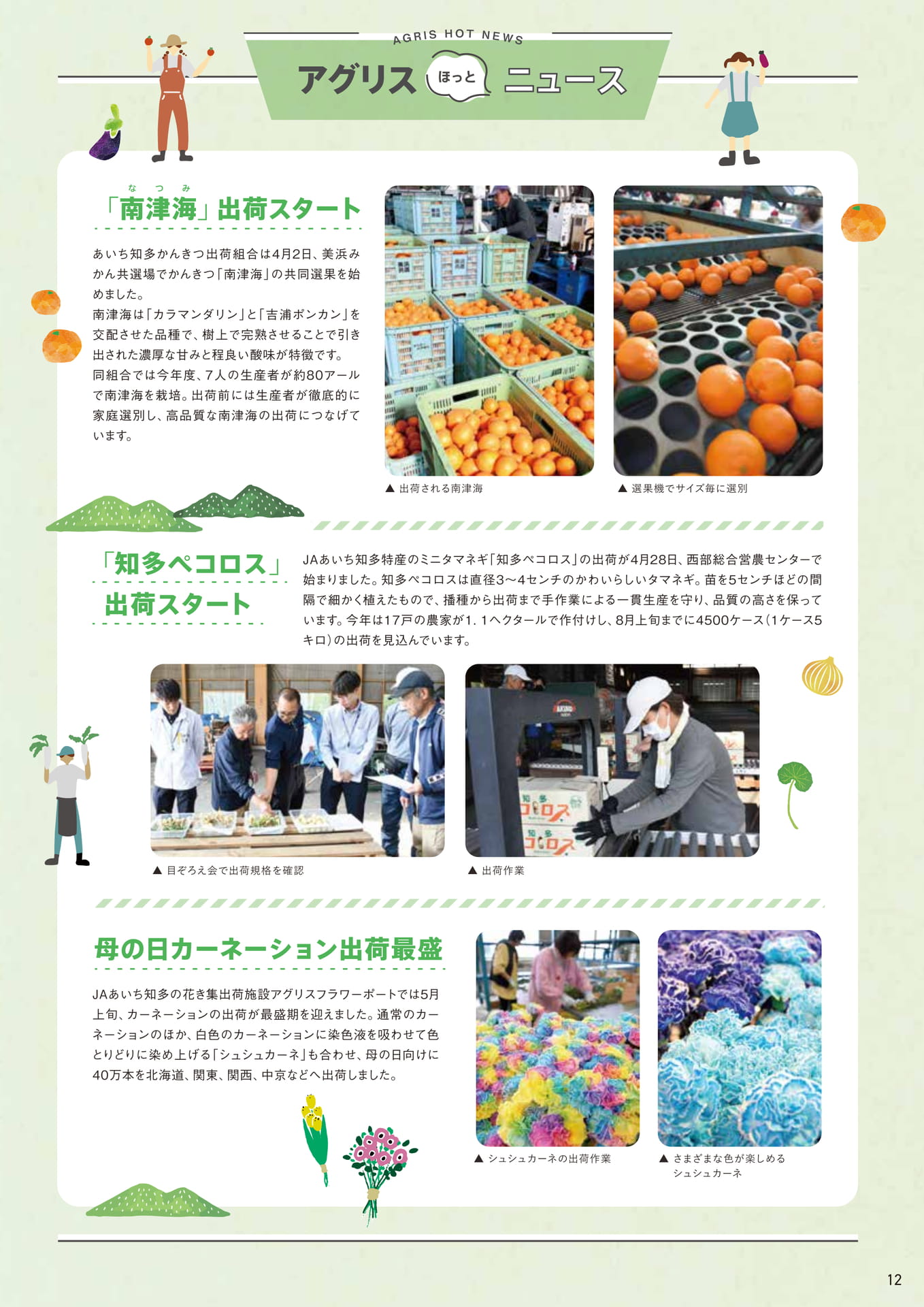 Page 12