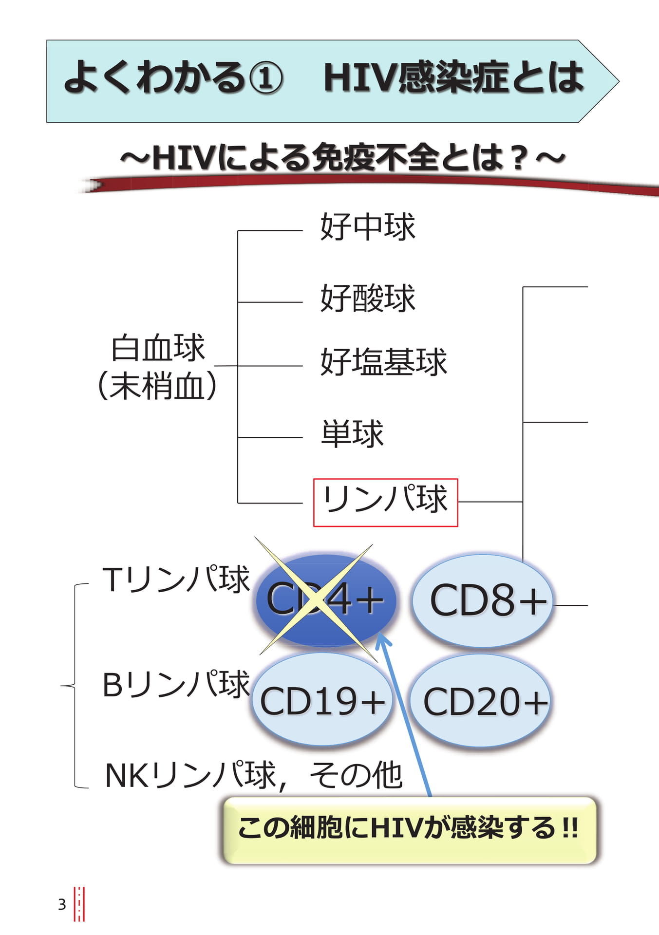 p.3