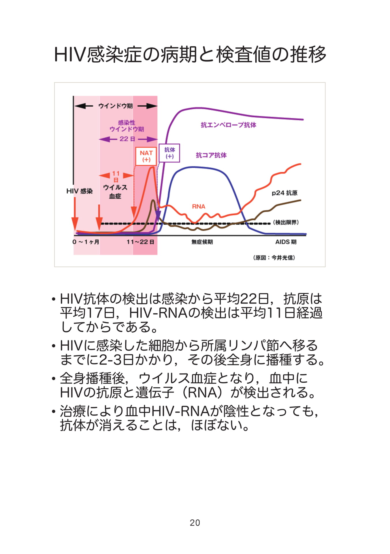 HIV感染症の病期と検査値の推移