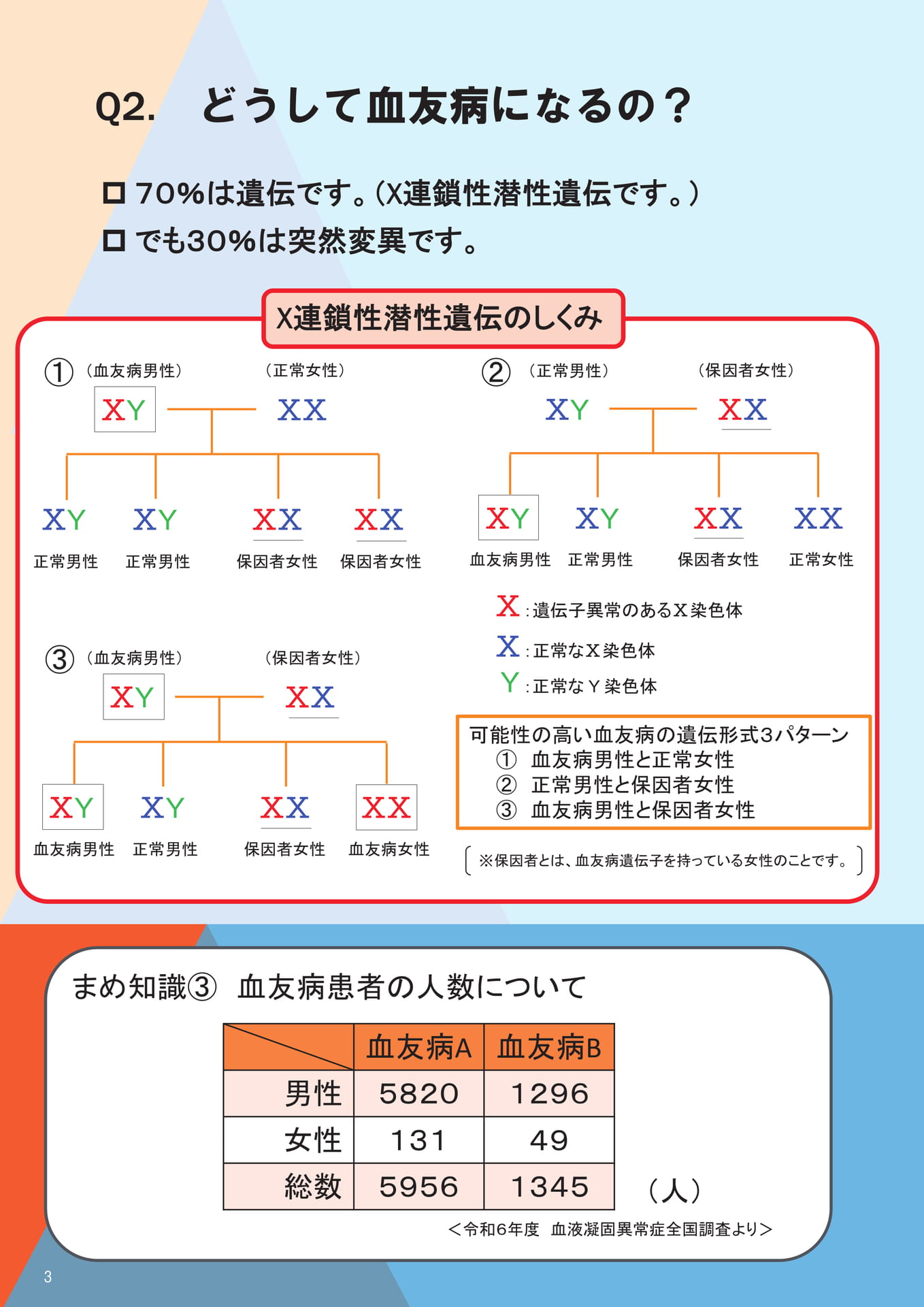 Q2. どうして血友病になるの？