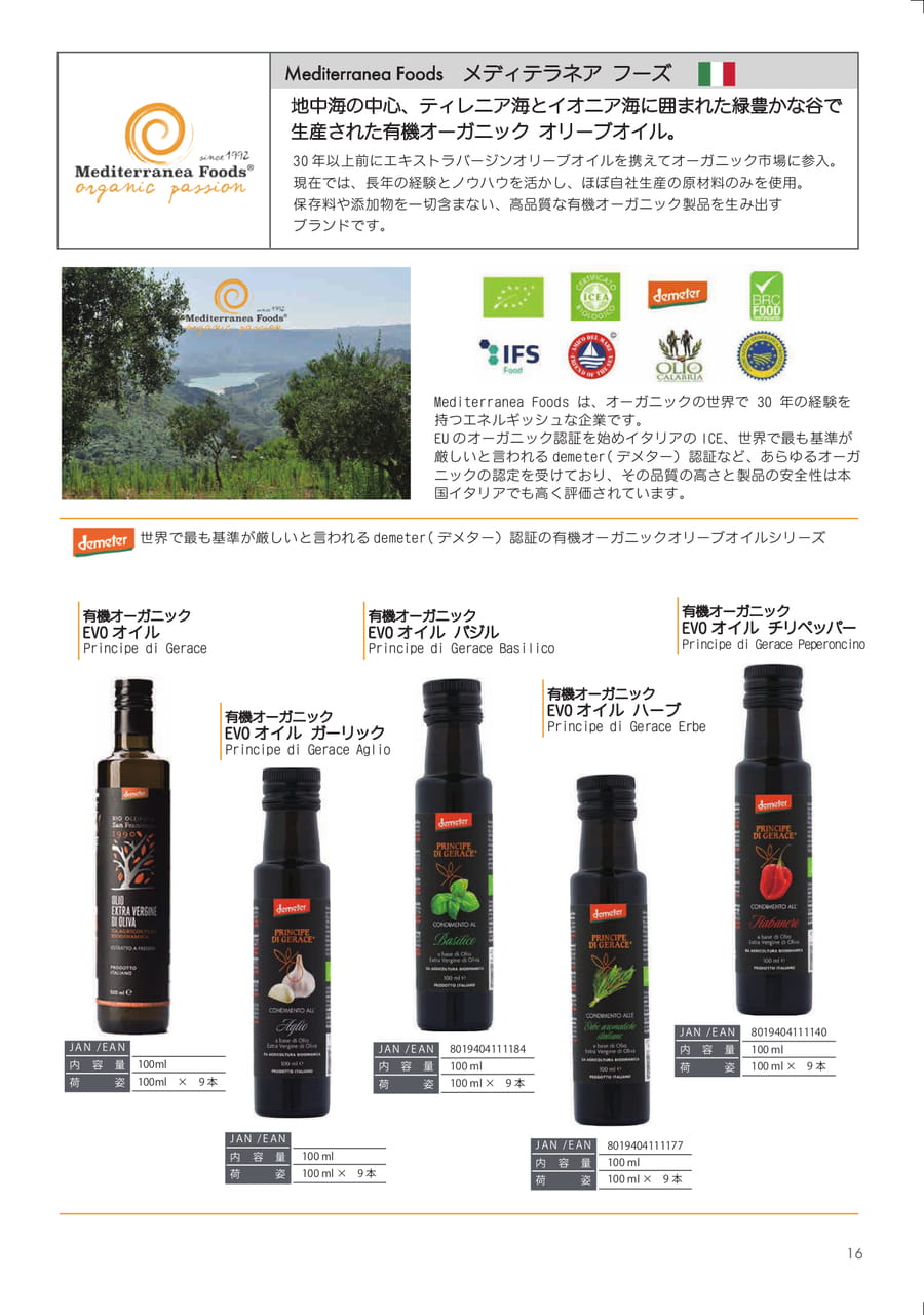 Page (追加)1