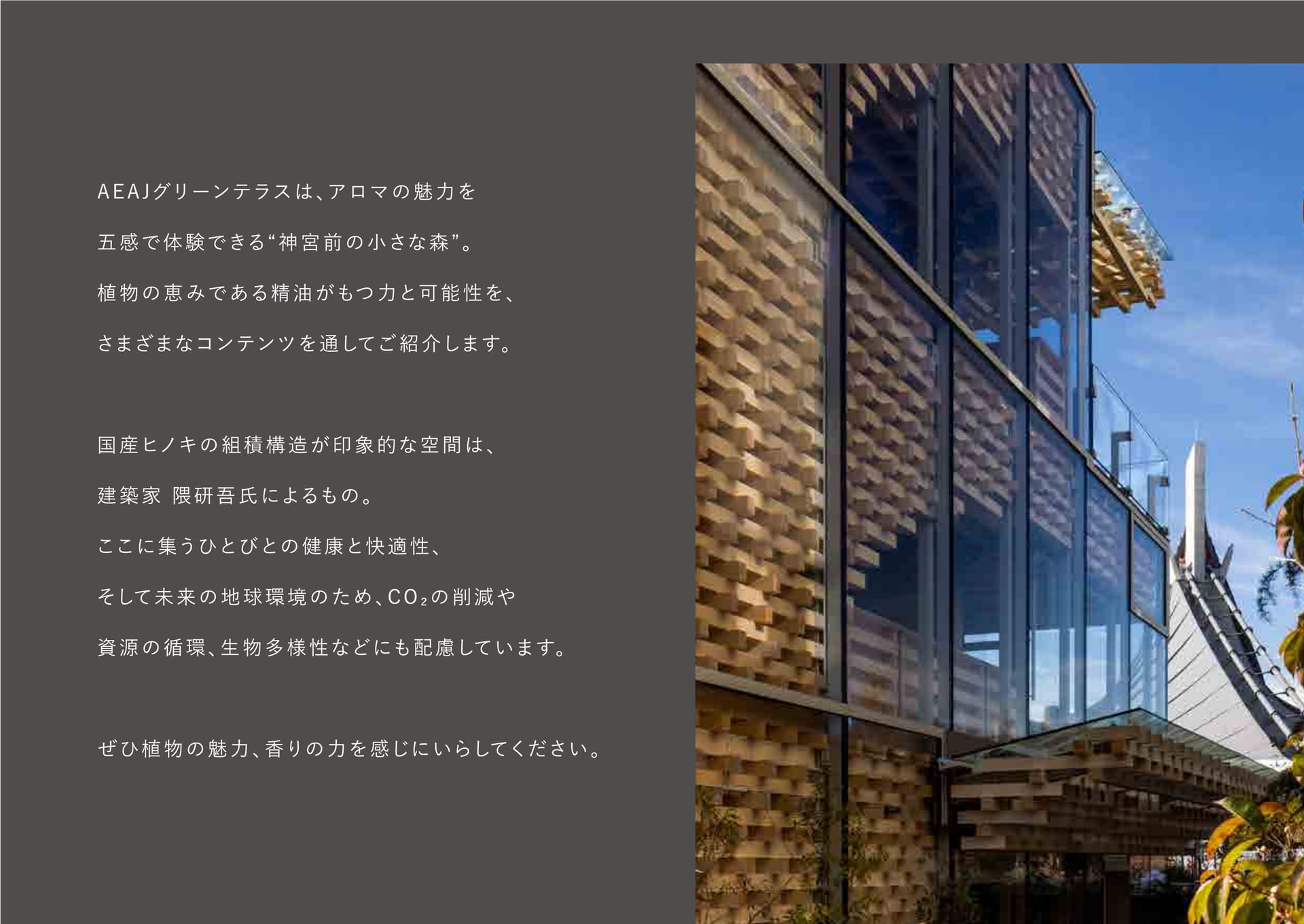 ABOUT