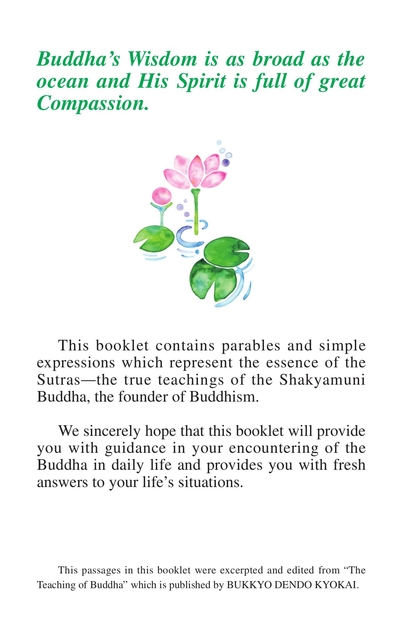 Page 02