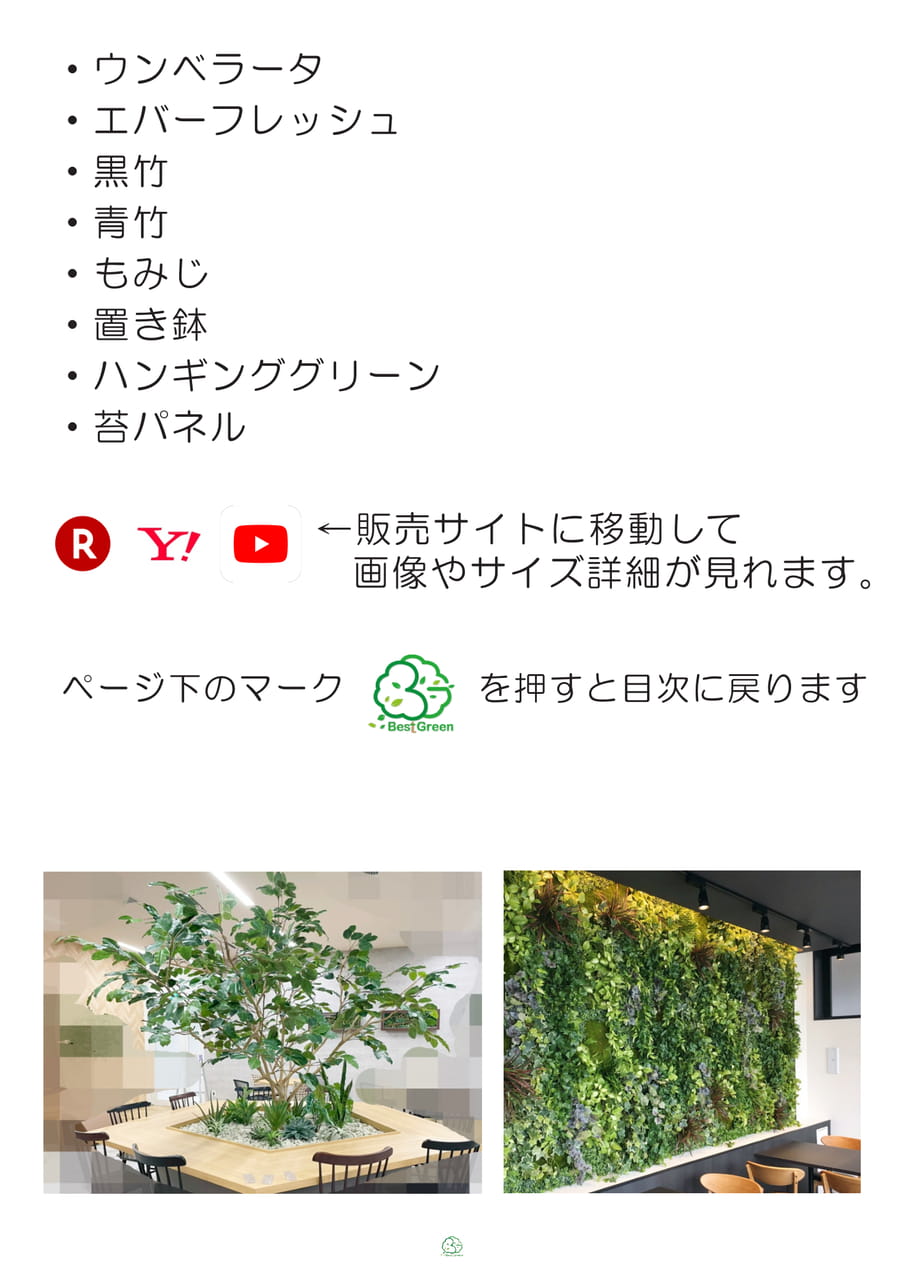 Page (追加)1