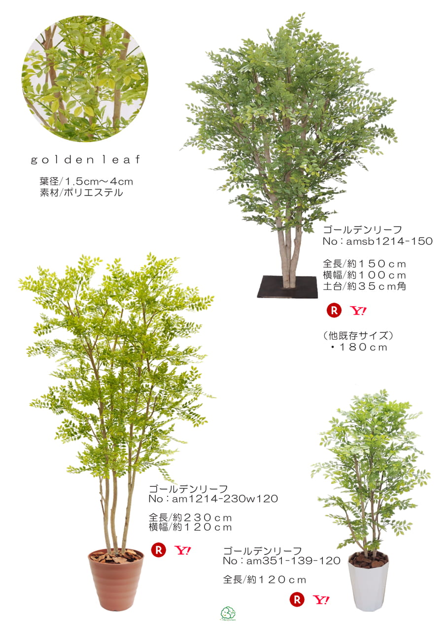 Page (追加)1