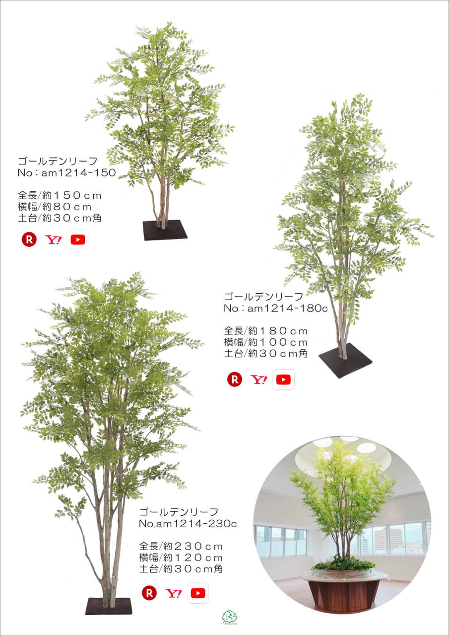 Page (追加)1