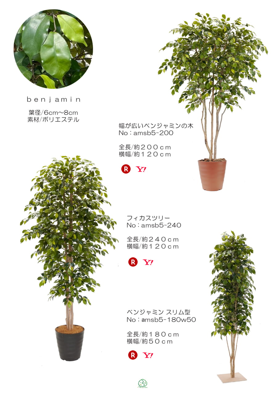 Page (追加)1