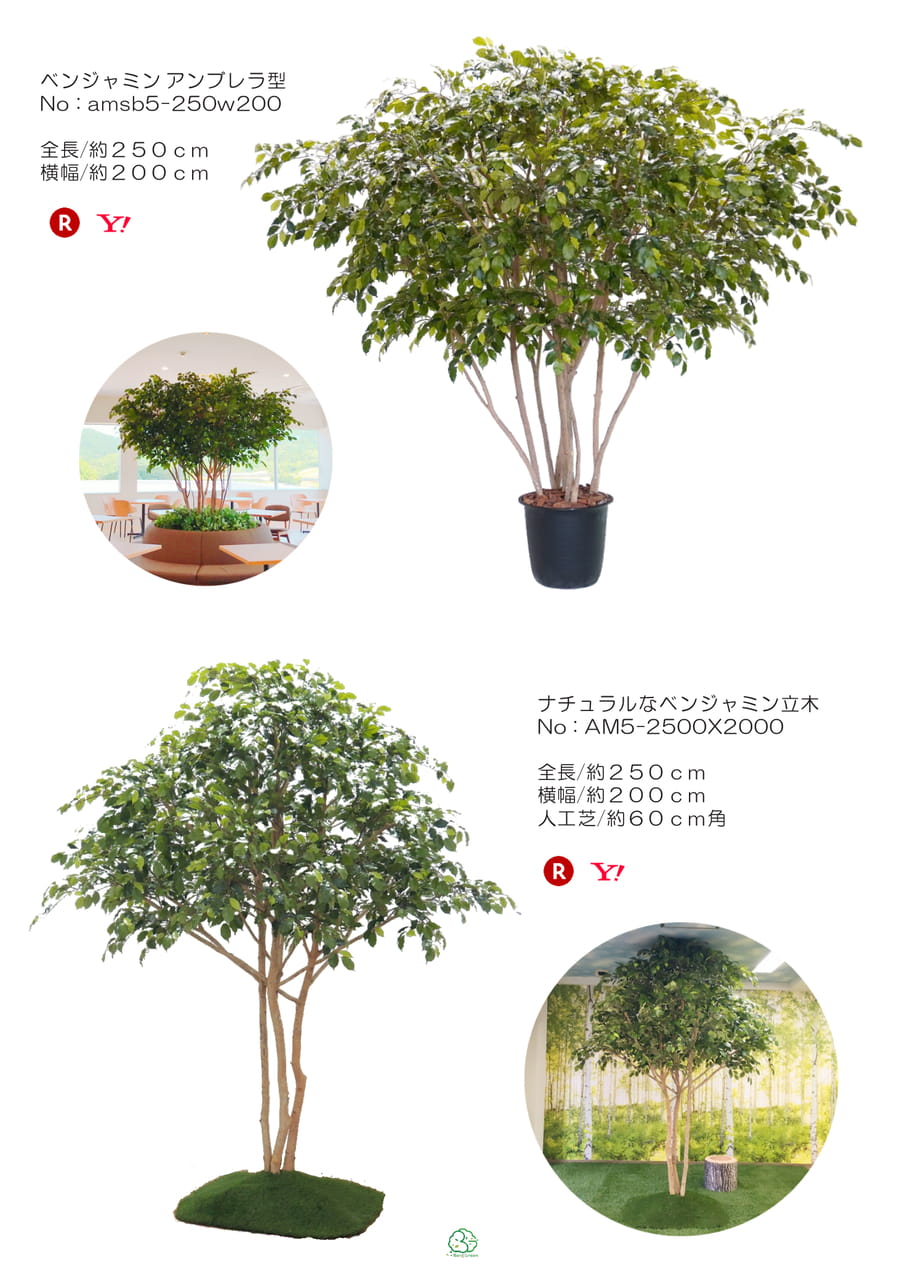 Page (追加)1