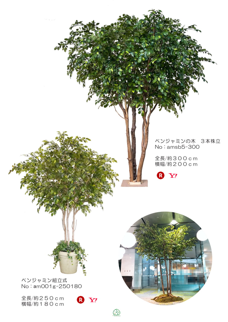 Page (追加)1