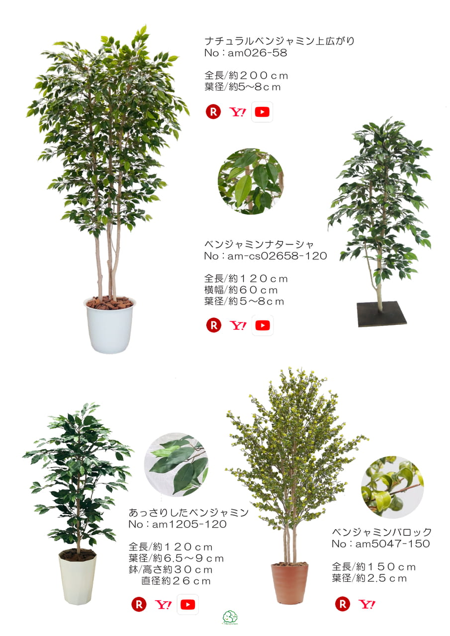 Page (追加)1