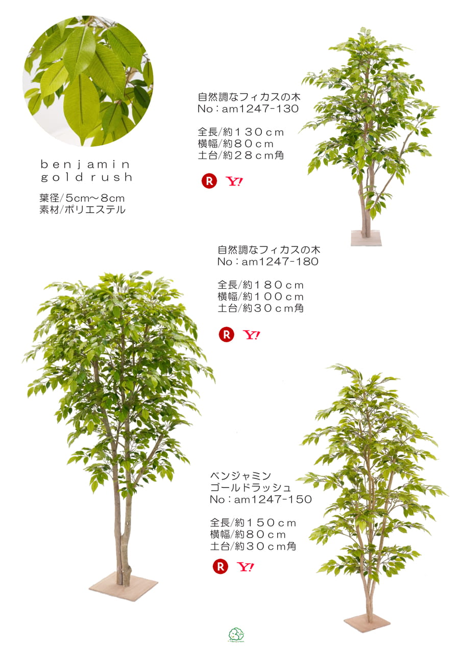 Page (追加)1
