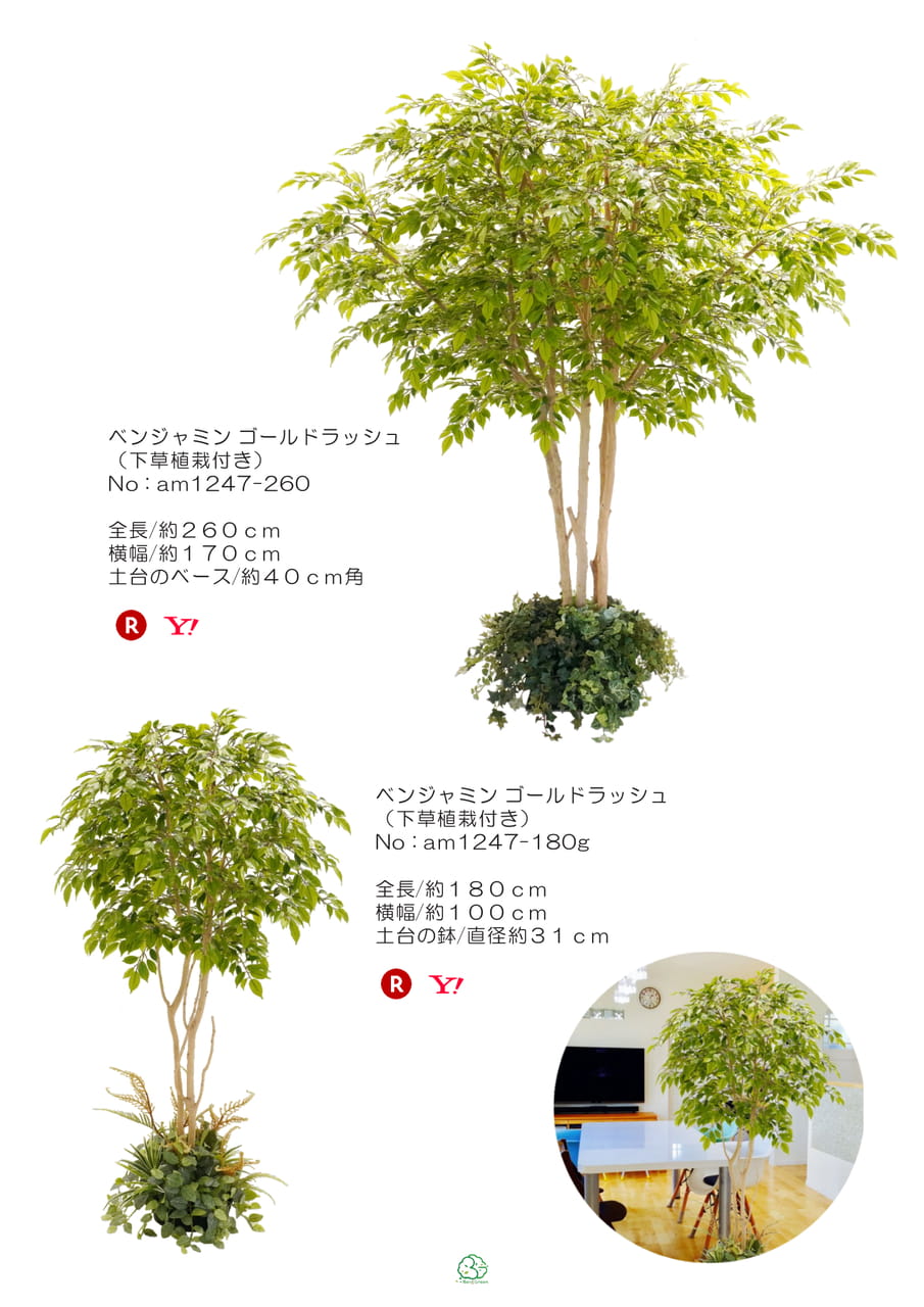 Page (追加)1