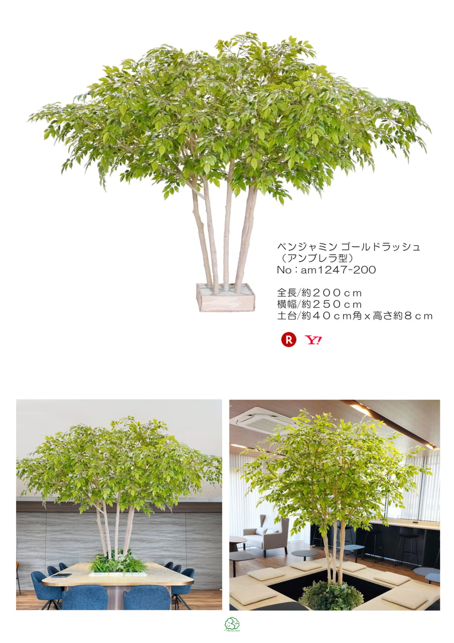 Page (追加)1