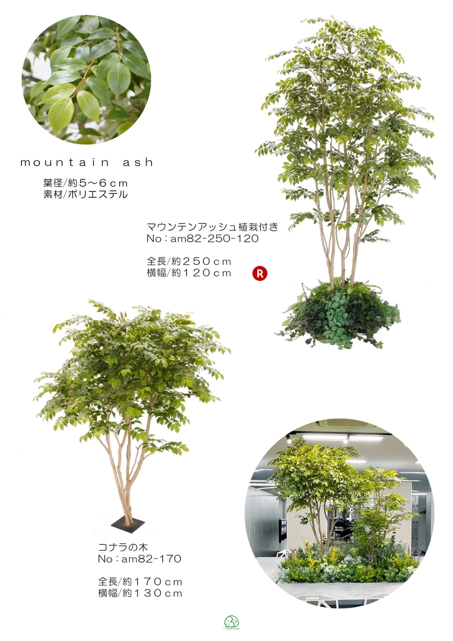 Page (追加)1