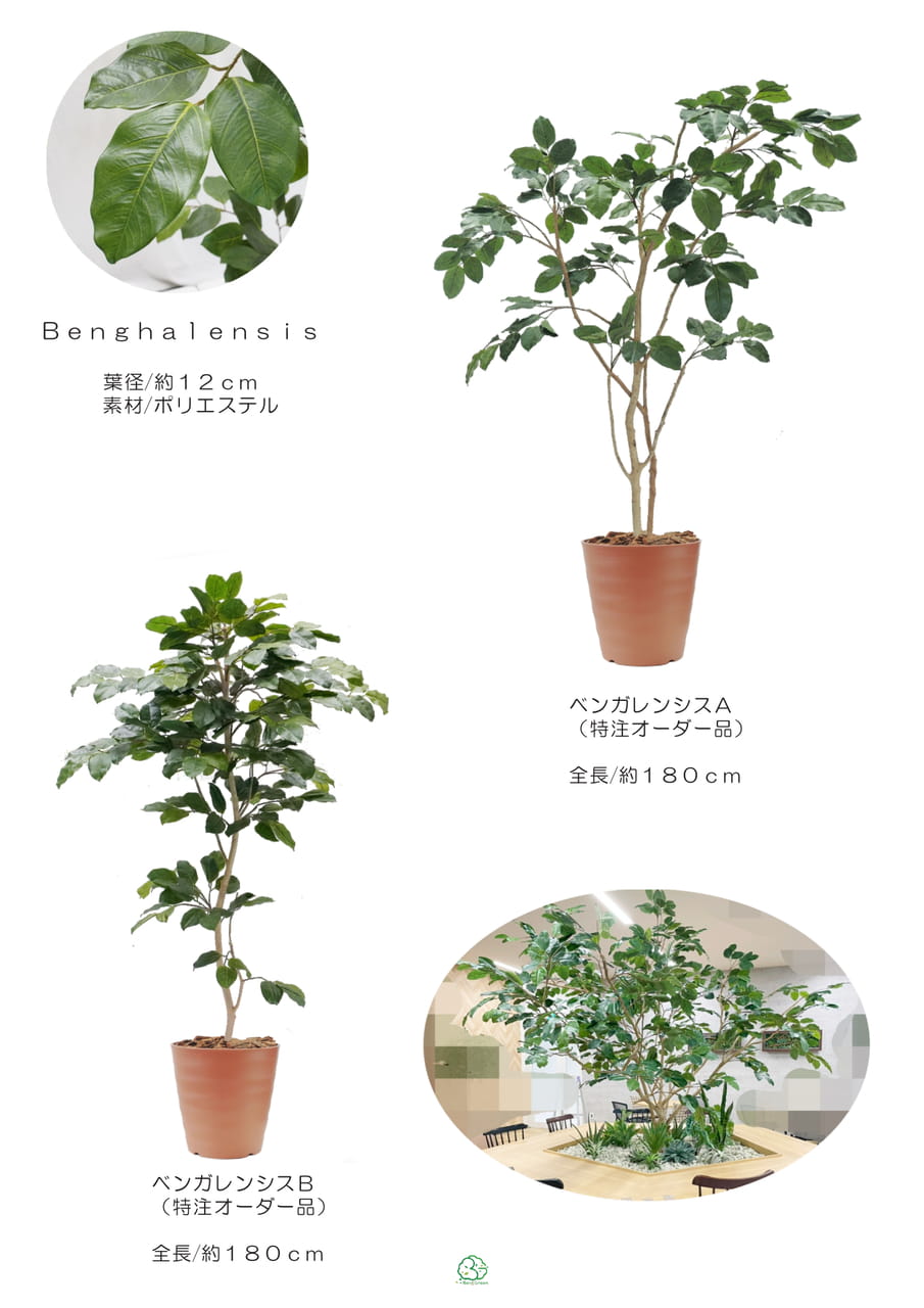 Page (追加)1