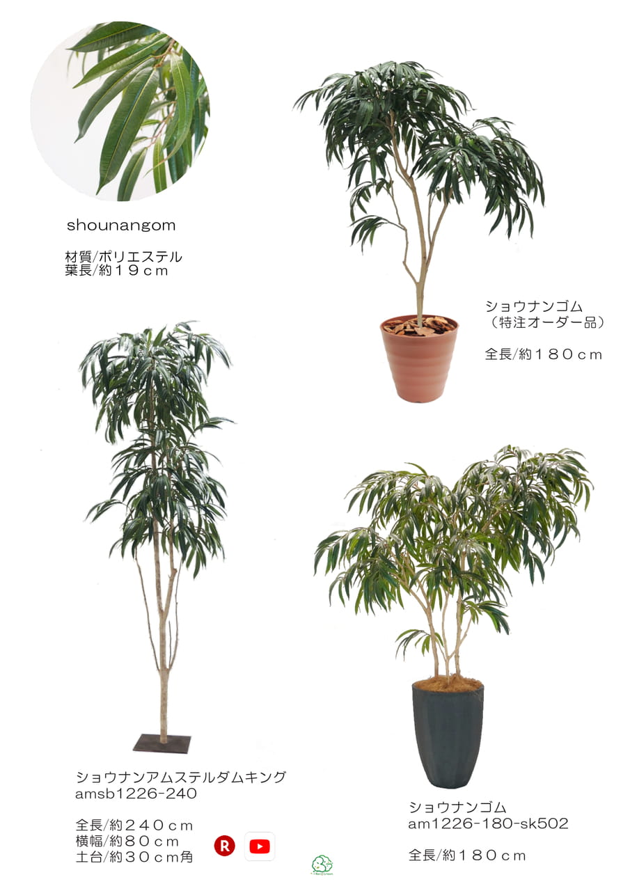Page (追加)1