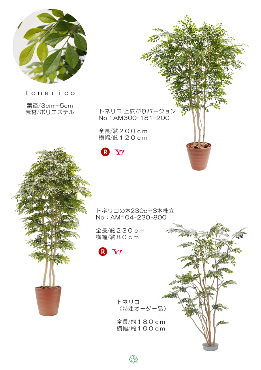 Page (追加)1