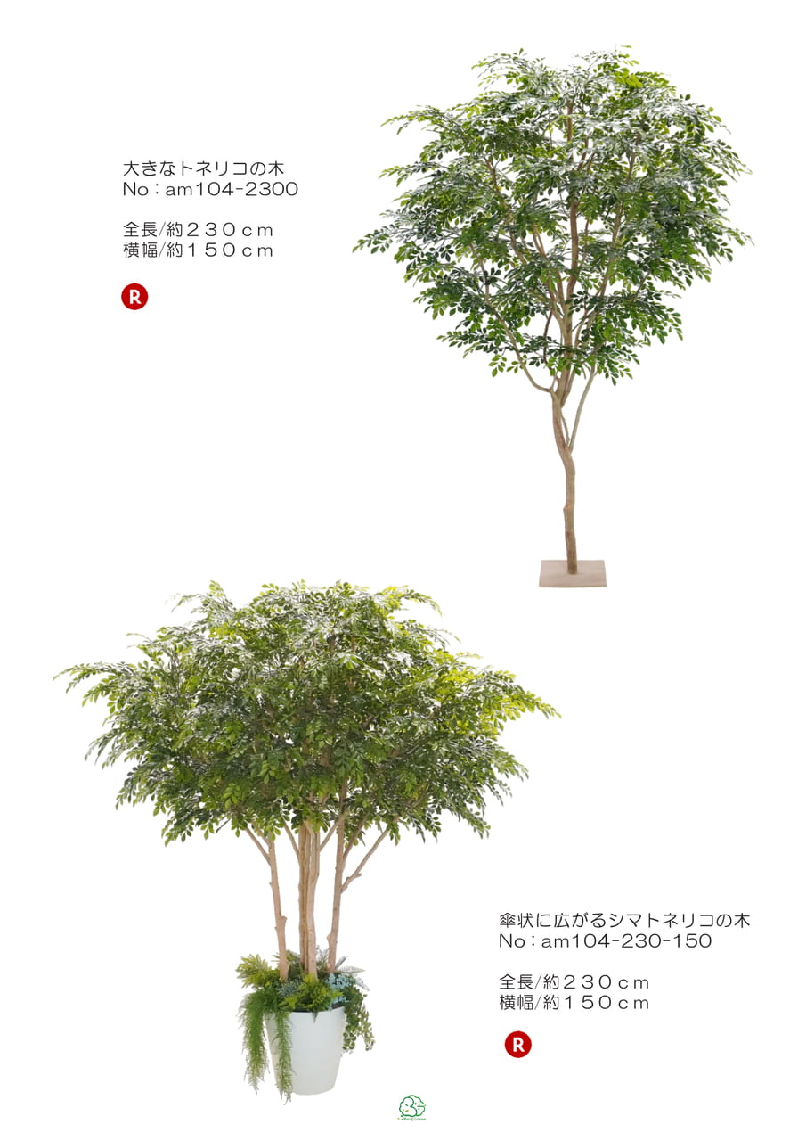 Page (追加)1