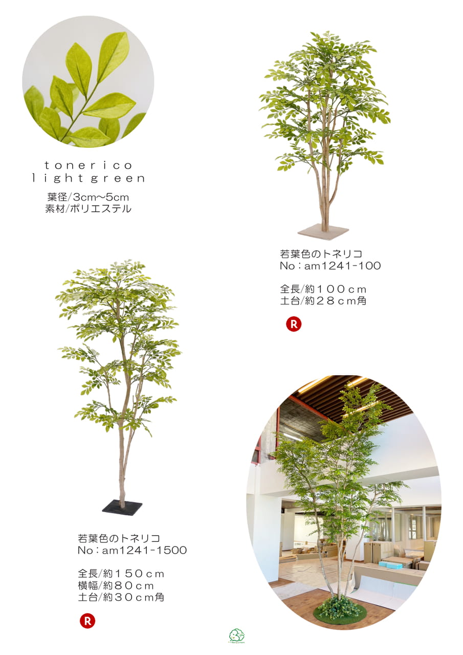 Page (追加)1