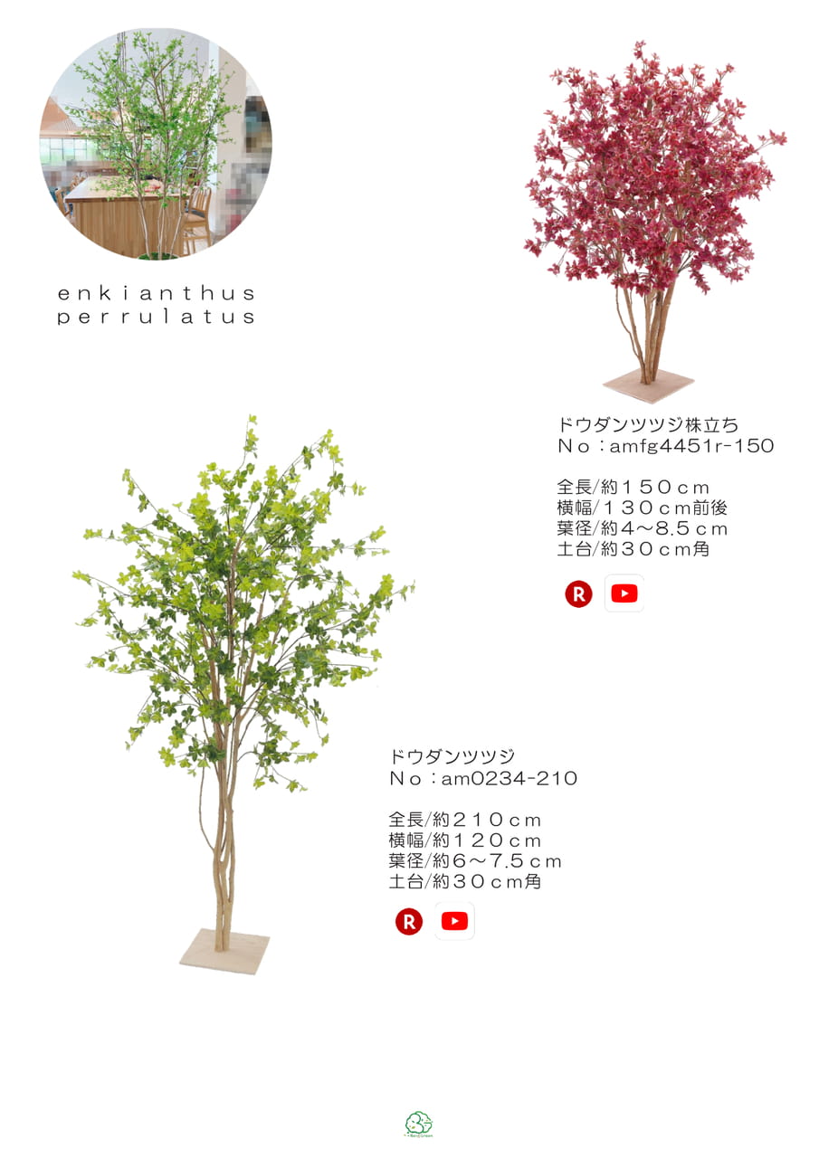 Page (追加)1