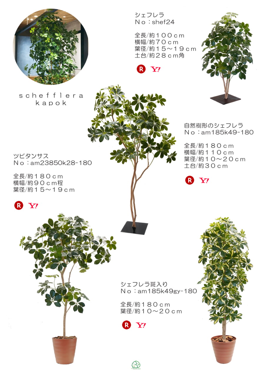 Page (追加)1