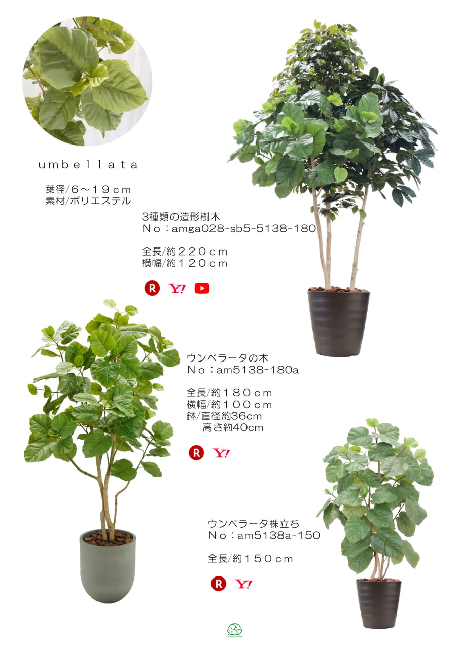 Page (追加)1