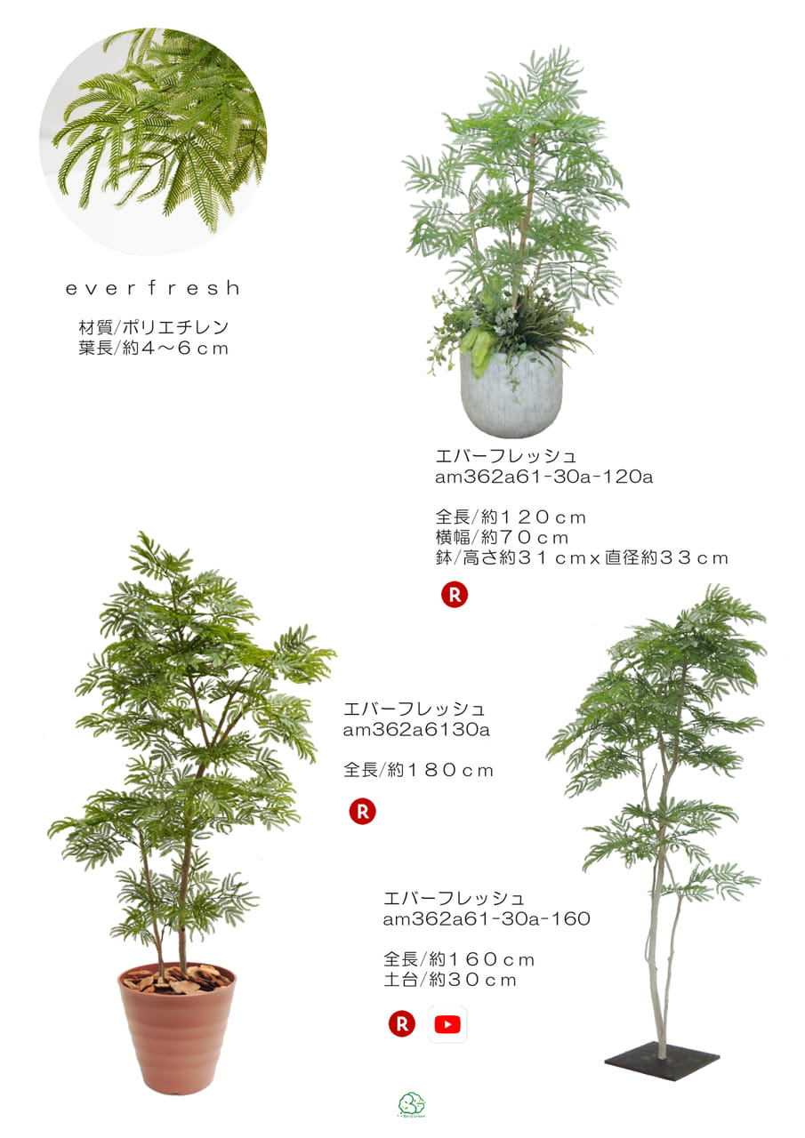 Page (追加)1