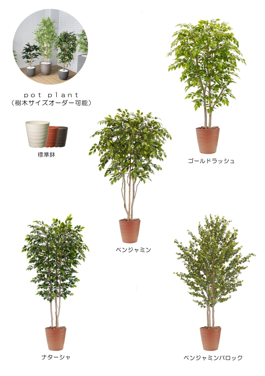 Page (追加)1