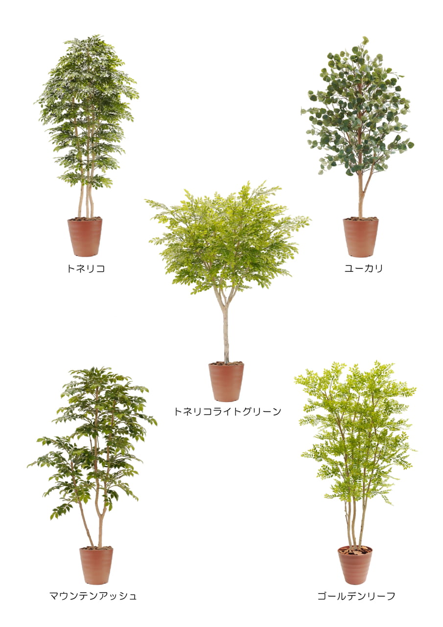 Page (追加)2