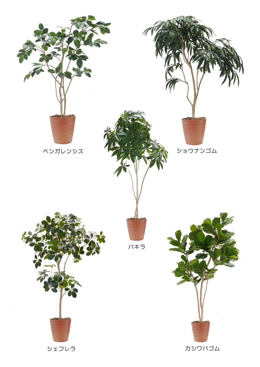Page (追加)3