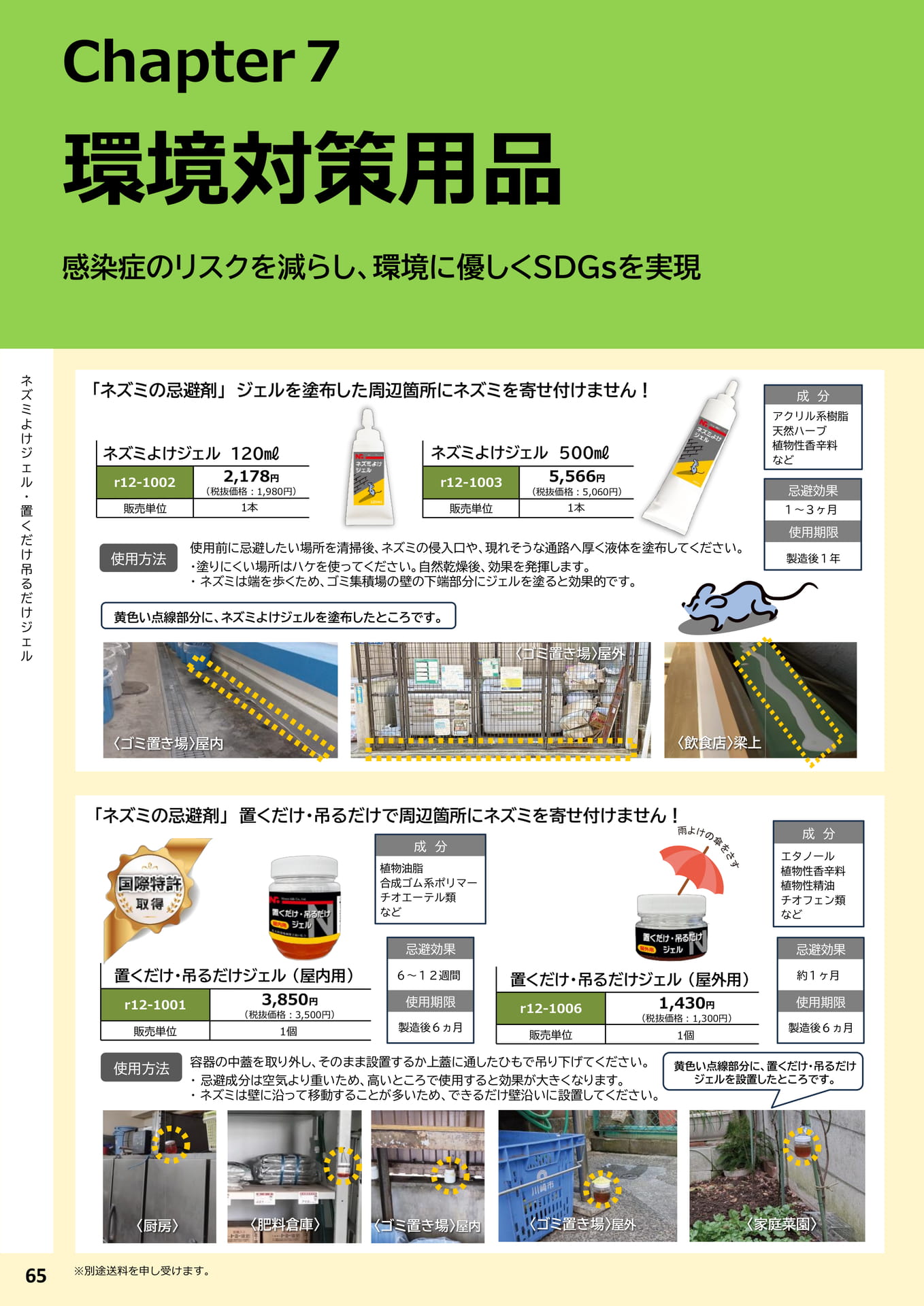 Page 66