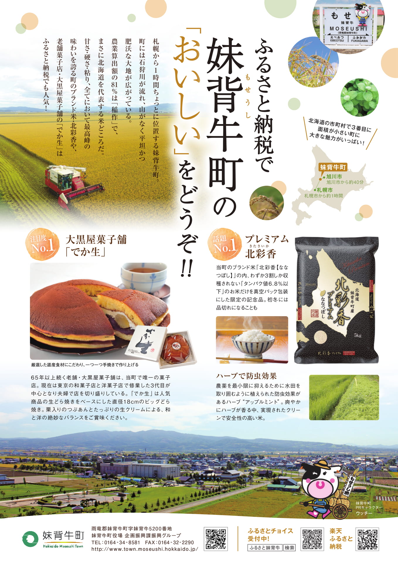 Page (追加)15