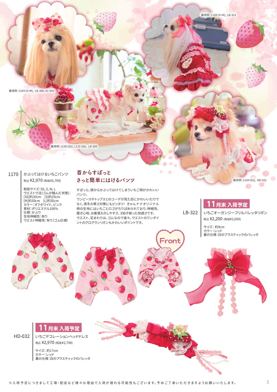 Page (追加)1