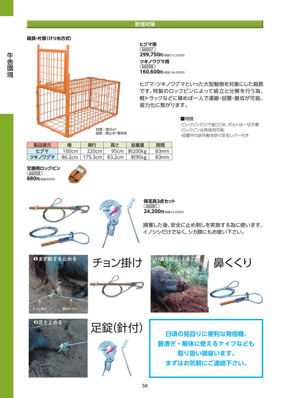 Page 56