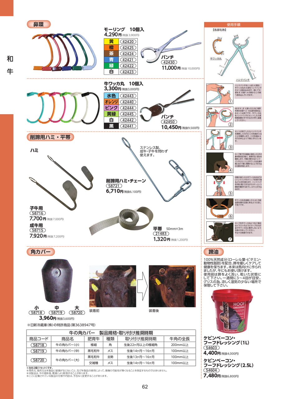 Page 62