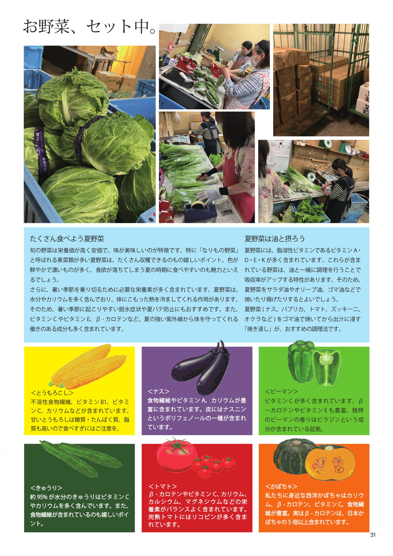 Page 31