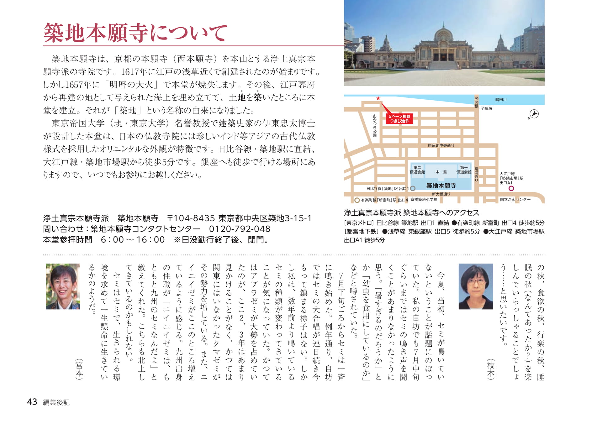 Page 43